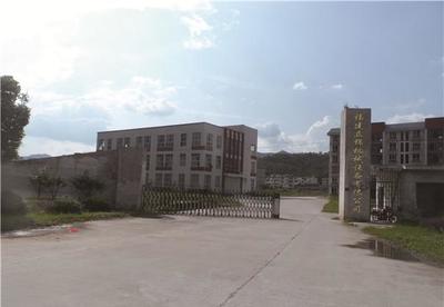 大型重力多片鋸 價格、特性與全自動圓木加工優勢