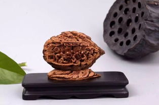 山東工藝美術學院研培學員創新產品設計大獎賽喜獲佳績，彰顯收藏品鑒定評估服務價值